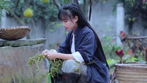 李子柒用过的背景歌曲,李子柒背景音乐中的自然画卷