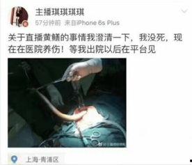 谁有黄鳝女主播完整,网络直播界的神秘魅力