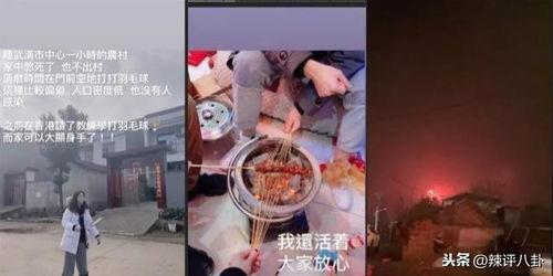 娱乐圈好作品难求,探寻优质作品的珍贵与挑战