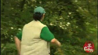 狮子抓人搞笑视频,萌态百出，搞笑视频引网友爆笑