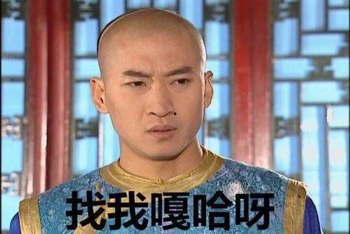 尔康暴走表情包,笑翻网友的“表情帝”传奇
